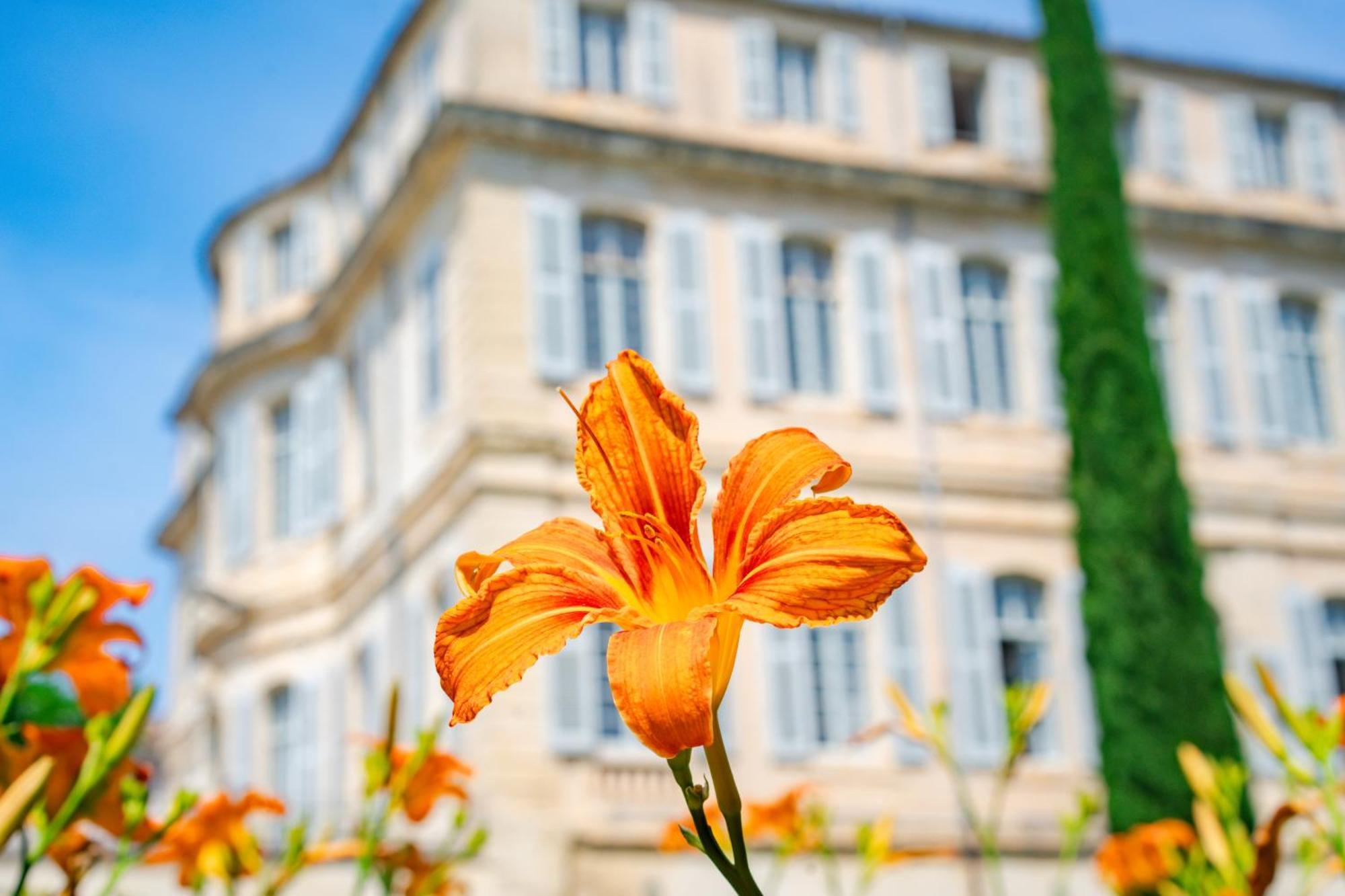 Chateau De Mazan, BW Premier Collection By Best Western المظهر الخارجي الصورة